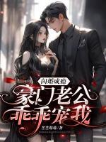 豪门闪婚老公大人轻点宠