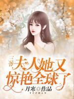 主人公是叶萌 墨锦城的