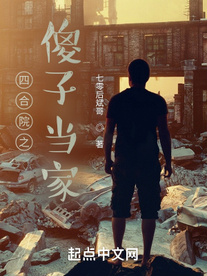 四合院之傻子当家七零后斌哥