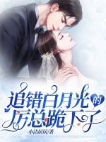 历总的白月光回来了
