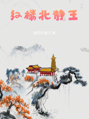 红楼北静王秦可卿