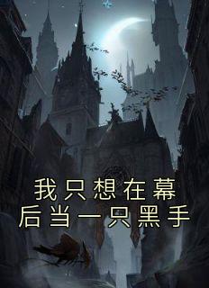 我想做幕后黑手txt