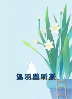 温妤女主角名