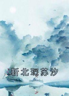 苏汐靳北琛 抖音