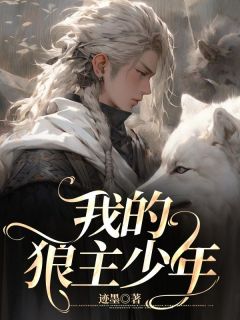 我的狼少年黑夜汉化组