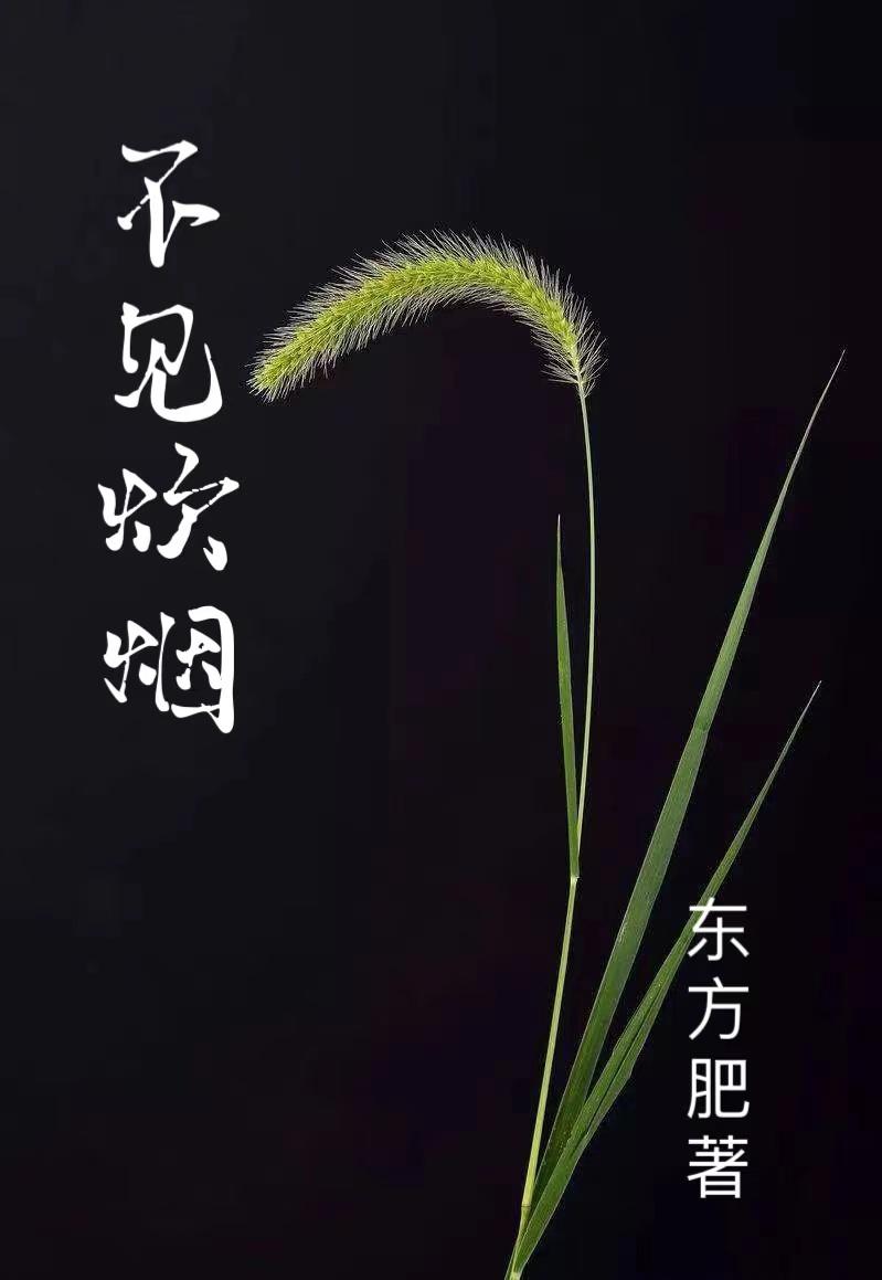 不见炊烟歌词完整版