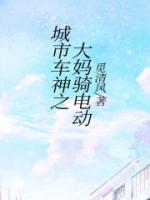 大爷大妈电动车