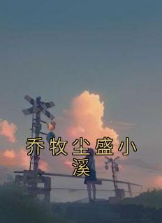 乔沐矜沈晟