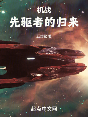 机战30后继