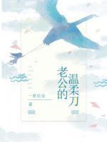 张哲完本