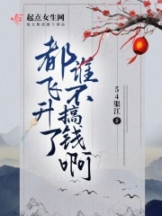 飞升不飞升有什么区别