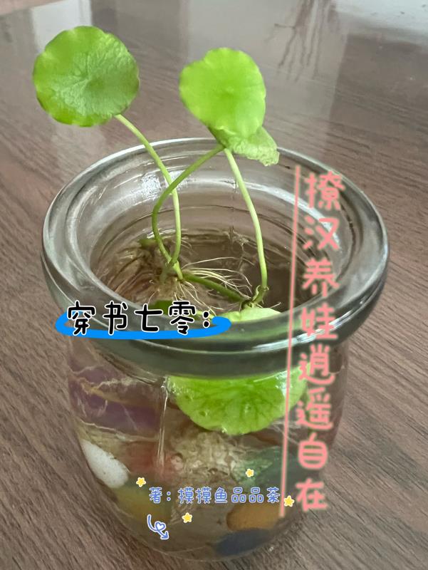 七零穿书沬沬