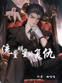 流量明星受