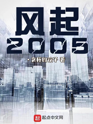 风起2005笔趣阁