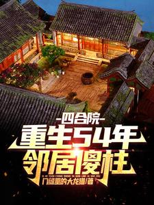 重生四合院傻柱