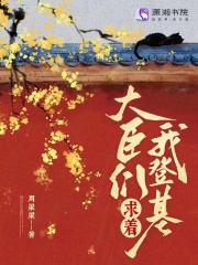 大臣们求着我登基txt