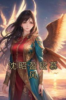 段勋沈清佳梁昭昭免费阅读