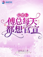隐婚后傅总每天都想官宣txt