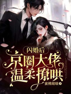 闪婚娱乐圈