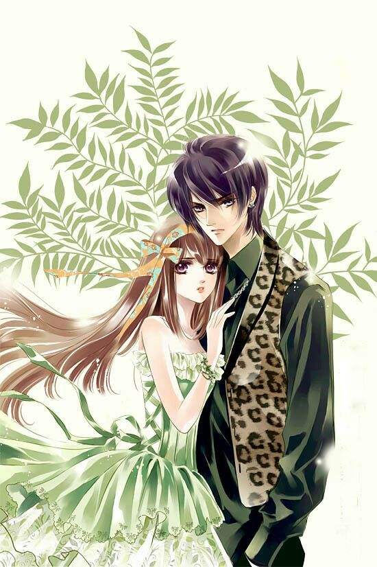 上门好女婿林羽