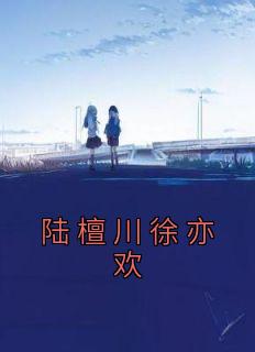 陆亦深徐漫免费阅读全文
