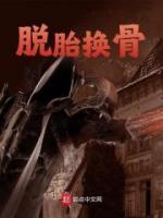 脱胎换骨集吴齐南著