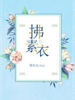 拂素衣是什么意思