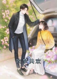 吹梦共欢原著叫什么