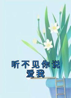 听不见你说我爱你