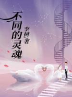 不同的灵魂等级