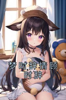 梦时辞情顾时辞在线阅读无弹窗