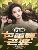 赵成徐菲的结局