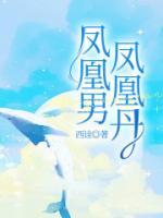 凤凰男