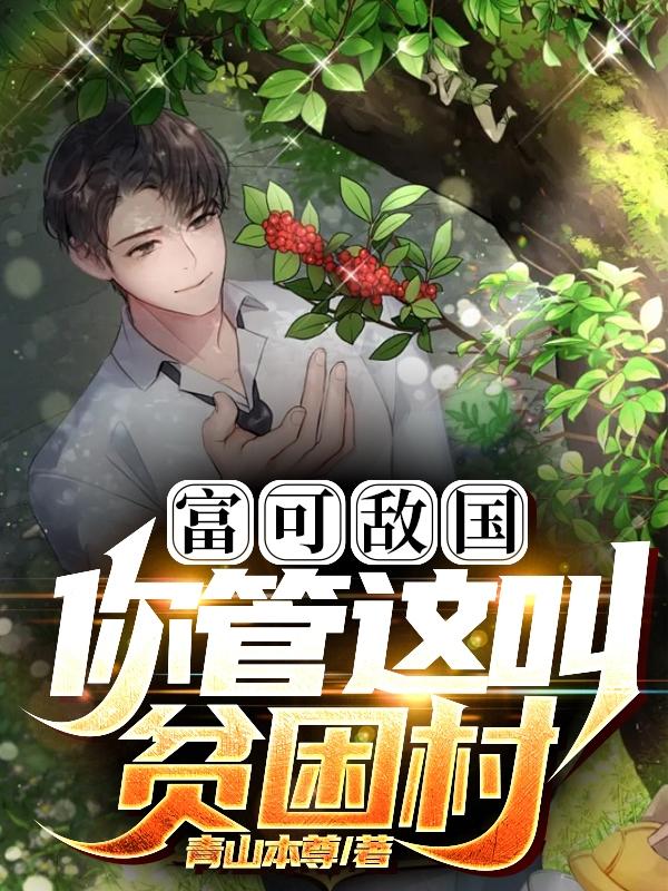 你管这叫贫困村作者青山本尊