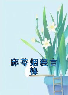 邱苓烟程言锋全文免费