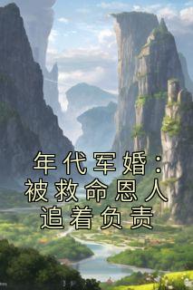 年代军妻