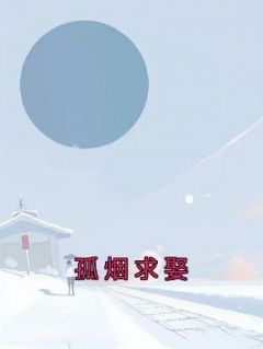 孤烟求娶全部章节笔趣阁