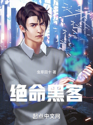 绝命黑客txt精校版