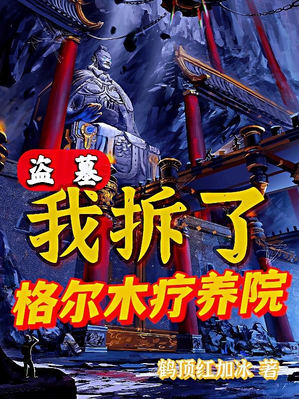 盗墓我拆了格尔木疗养院完本