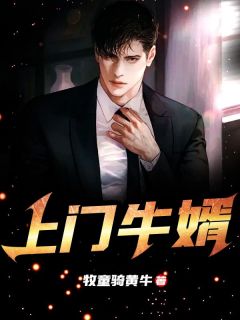 凌霄主角叶流云