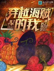 穿越海贼的我对铁块迷之自信无防盗