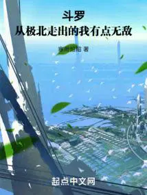 斗罗从极北走出的我有点无敌 寒雨昭昭