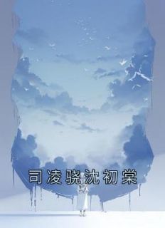 司凛安初全文