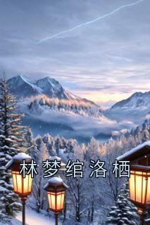 求女主叫林梦绾的