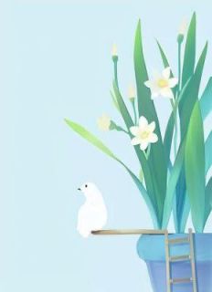江亦池擎最新章节免费阅读