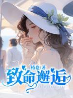 致命邂逅刘小寐晋江