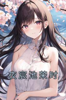 池茉时夜宸叫什么书名