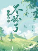 顾林vlog