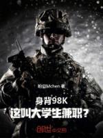 苏烟陈香价格