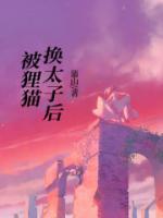 狸猫换太子后本全本简介